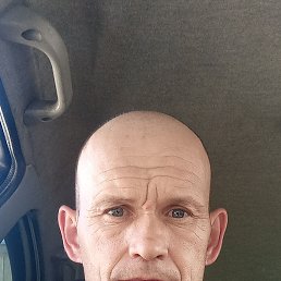 , 41, 