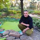 ���� ����, ��������, 56 ��� - ��������� 8 ���� 2024 � ������ ���� ����������