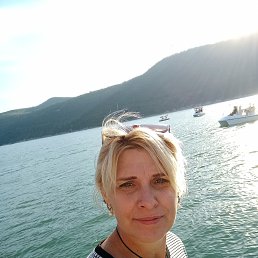 , 44, 