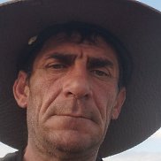 , 43 , 