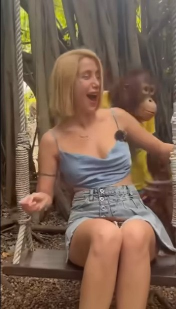     )