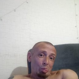 ���� �������, �������������, 44 ���� - ��������� 5 ������ 2026