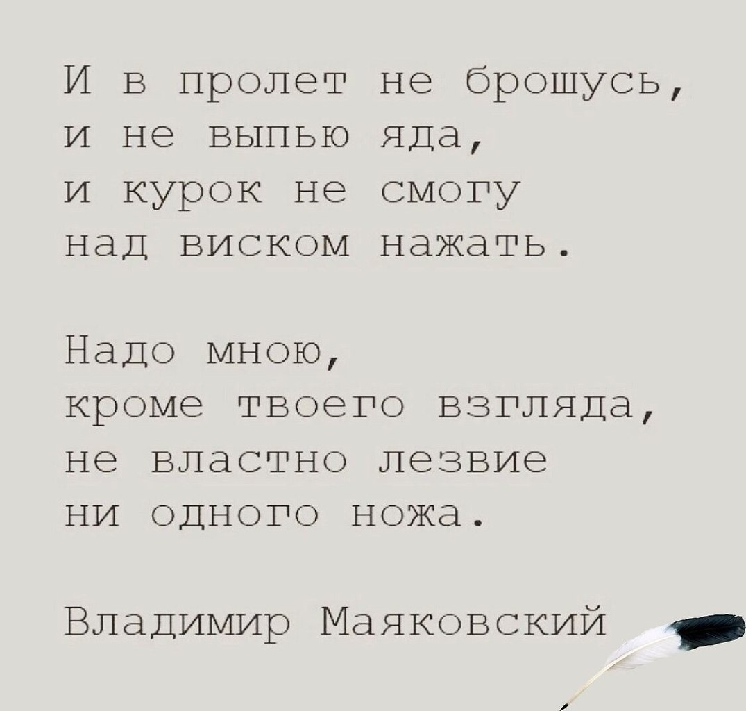   - 26  2025  11:13