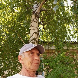 , 55 , 