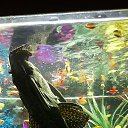 ���� ������, ������ - ��������� 14 ������� 2025 � ������ ���� ����������