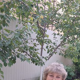 , 59, 