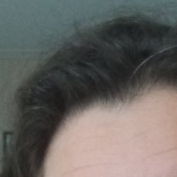 ������, ������, 55 ���