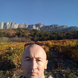 , 42 , 