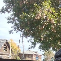 ����, ������, 18 ���