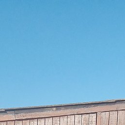 ������ ����, �����, 56 ���