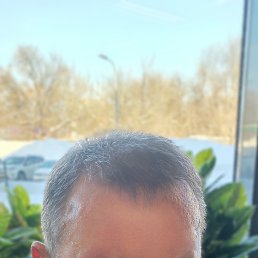 �������, 51 ���, ���������