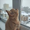  ,  -  22  2025    
