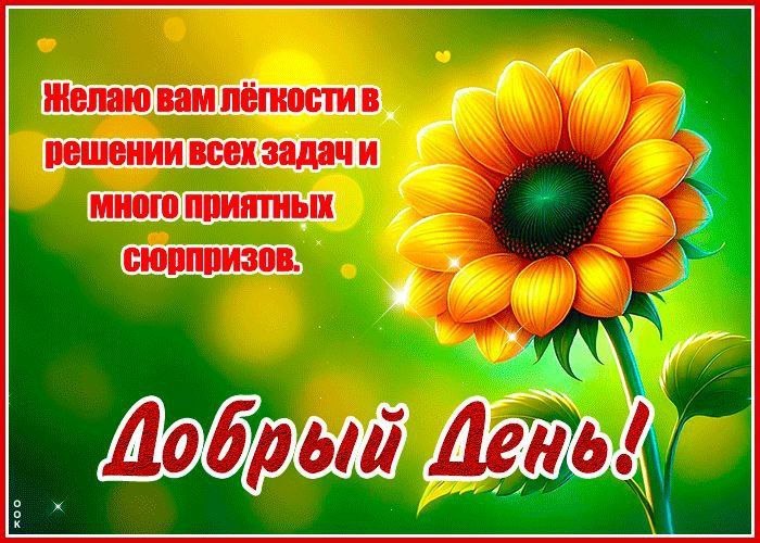   ,    . - 17  2025  13:10 - 2