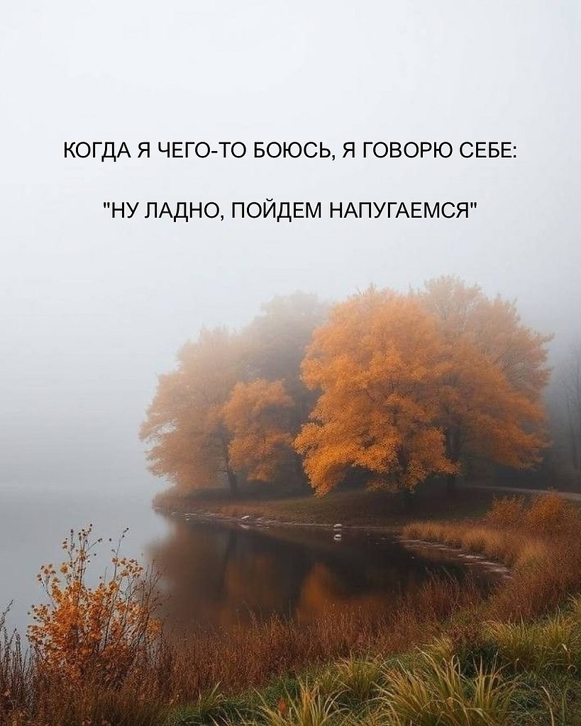 Just Business - 24 октября 2025 в 13:41 - 8