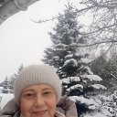 ���� ��������� ������, ���� - ��������� 29 ������� 2025 � ������ ���� ����������