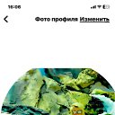  ,  -  11  2025    