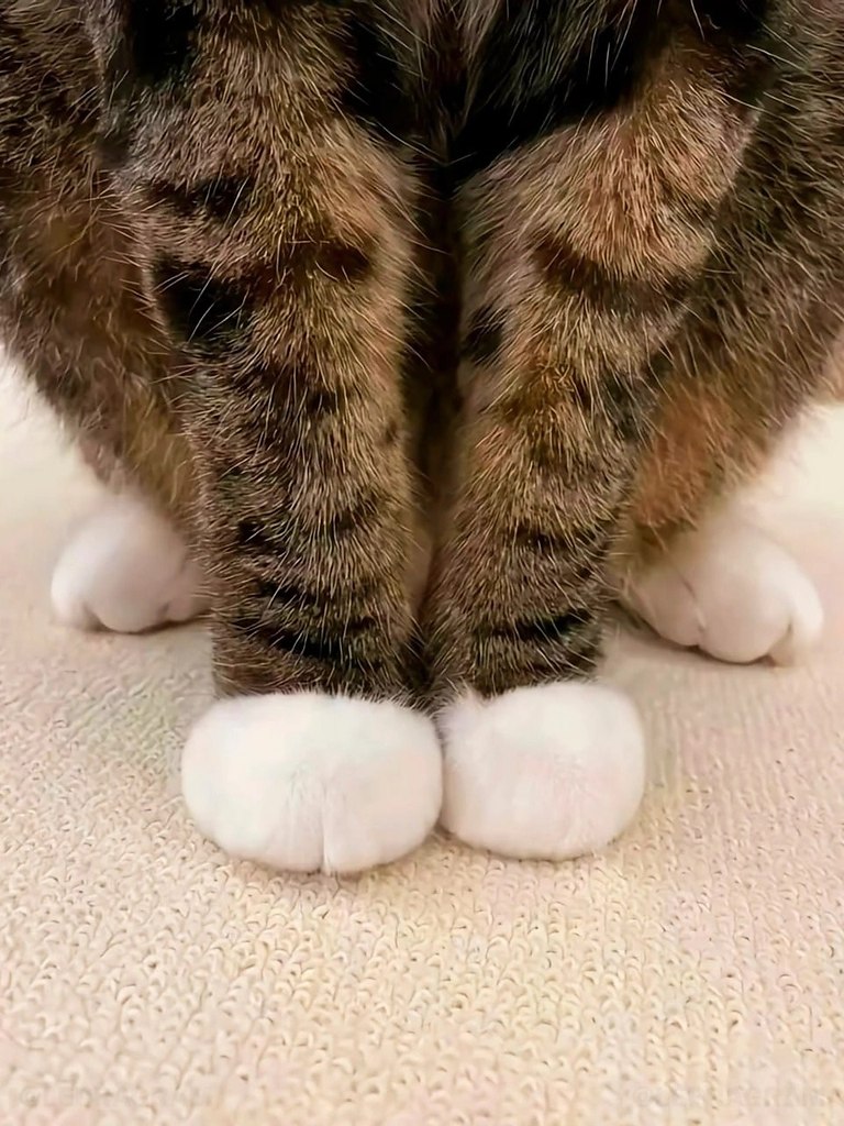 ��������� - 2