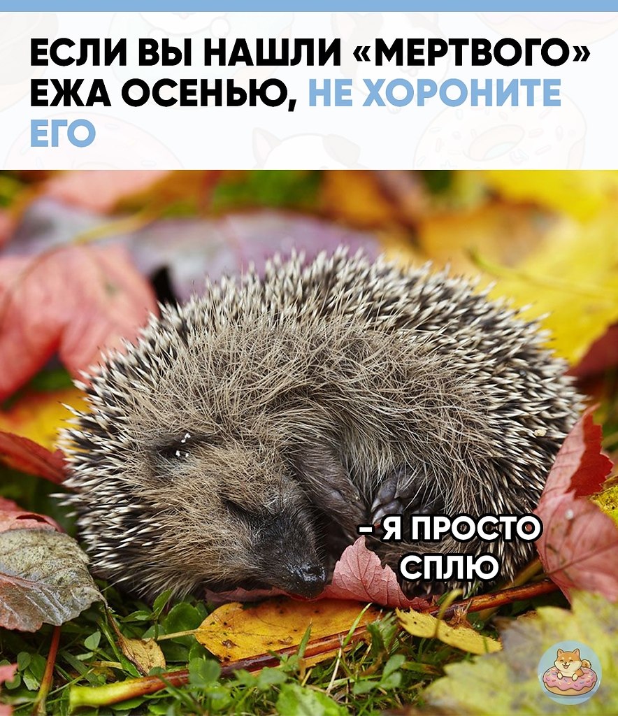 � �������� ������, � ������ �� ����, ��� ������� � ������. ������ ����, ������ ����������� �������� ...