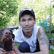 ������, 51 ���, ������