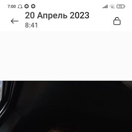 ���� ������, ������, 54 ���� - ��������� 20 ������ 2023