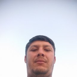 , 29, 