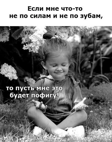 ***Victoria Viktorovna*** - 13  2023  11:06