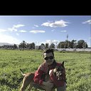 ���� ���������, ������, 29 ��� - ��������� 9 ������ 2024 � ������ ���� ����������