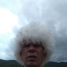 , 41, 