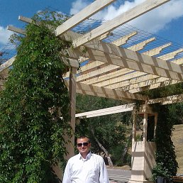 ���� �����, ������, 38 ��� - ��������� 25 ������ 2023