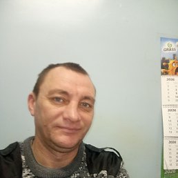 ���������, 38 ���, ���������