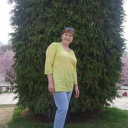 �����, ������-��-����, 56 ���