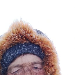 ���� ����� ���������, ������, 56 ��� - ��������� 29 ������ 2026