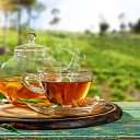 ���� �����, ��������� - ��������� 15 ������� 2026 � ������ ���� ����������