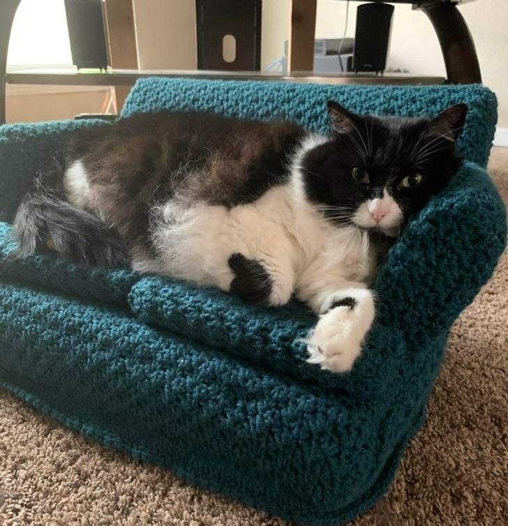 ������� � ������� ���� �������� � ������� ��������.