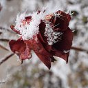 ���� �����, �������� - ��������� 2 ������� 2026 � ������ ������ ��������