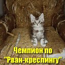 ���� ����������, ���������, 59 ��� - ��������� 21 ���� 2026 � ������ ������ ��������