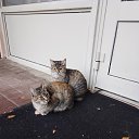 ���� �����, ����� - ��������� 17 ������� 2025 � ������ ������ ��������
