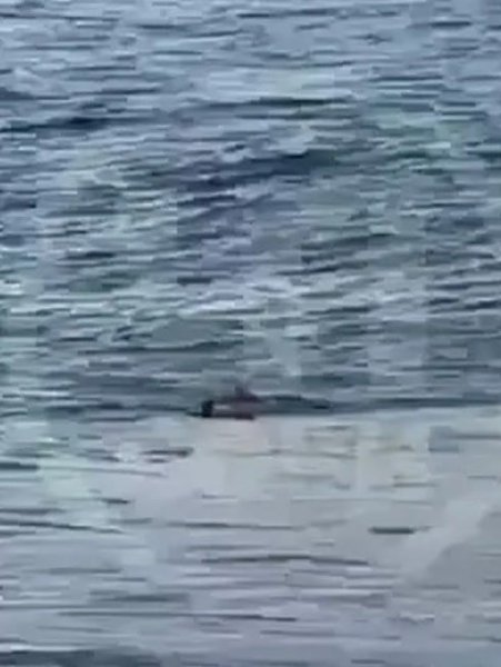 Шторм унёс ребёнка в море.В Сочи семья гуляла по берегу во время шторма. В какой-то момент волна ...