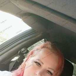���� ������, ������, 37 ��� - ��������� 8 ������� 2026