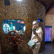 , 43 , 