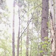 ���, 49 ���, ���