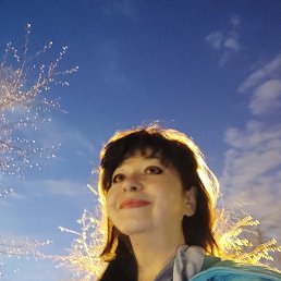 , 62, 