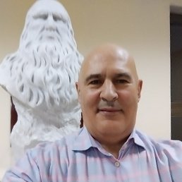 , 61, 