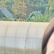 , 46 , 