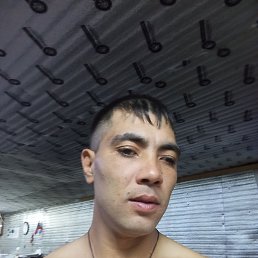 ����, 33 ����, ����