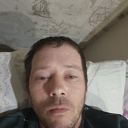 , 37, 