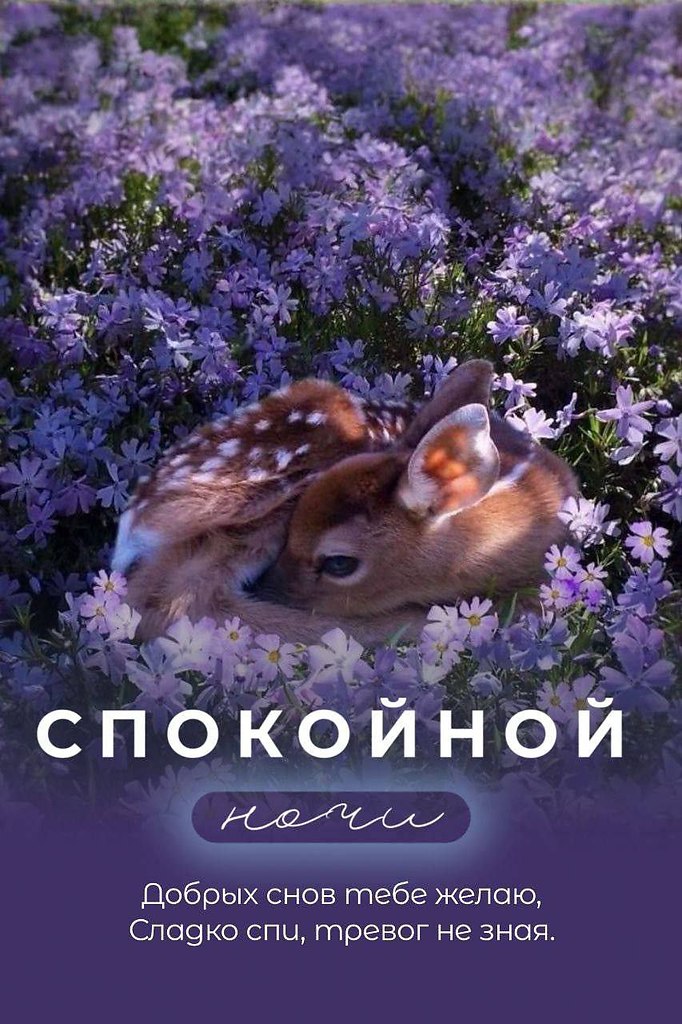   ,    . - 25  2025  21:33 - 5