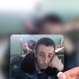 , 37, 