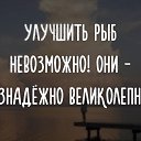  , , 60  -  13  2025    