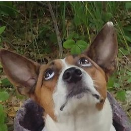 �����, ������, 58 ���